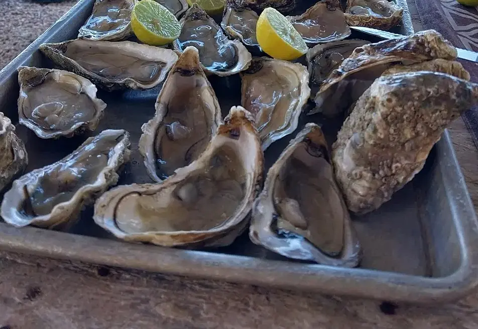Des huîtres ouvertes, servies au bord de l'eau