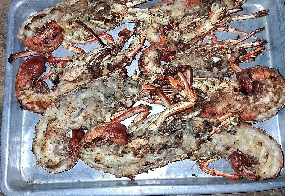 Des langoustes grillées sur la plancha