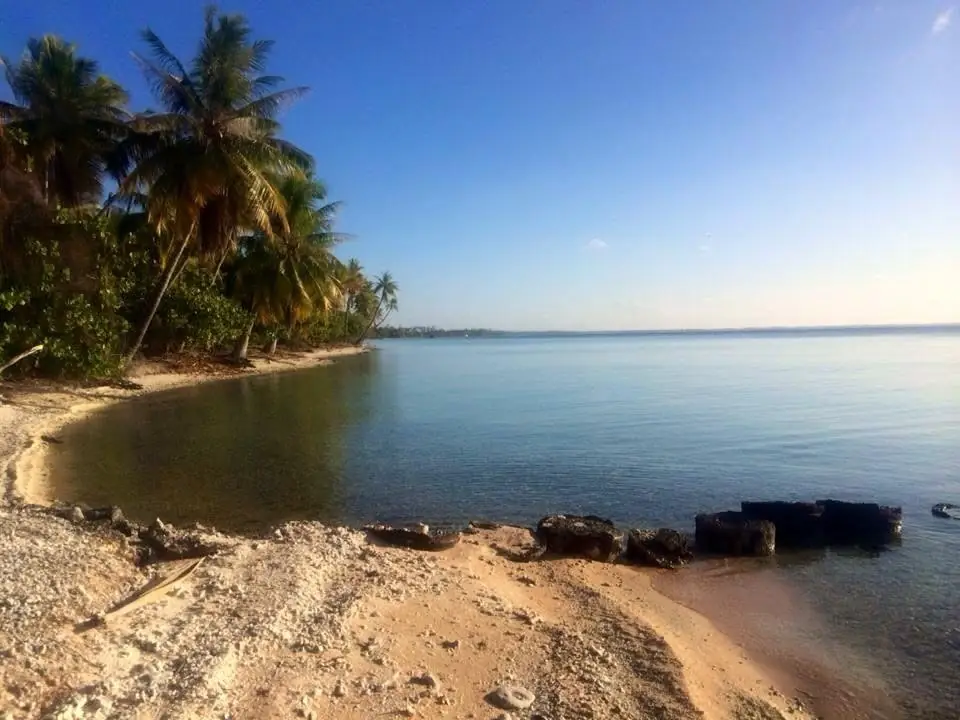 L'anse de sable corallien devant la pension, à l'heure du pique-nique