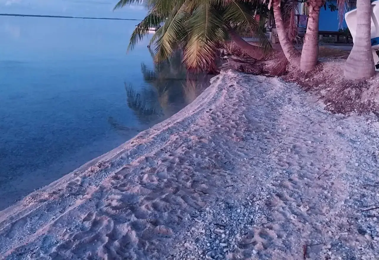 La plage bordée de cocotiers, le long de la route de l'atoll